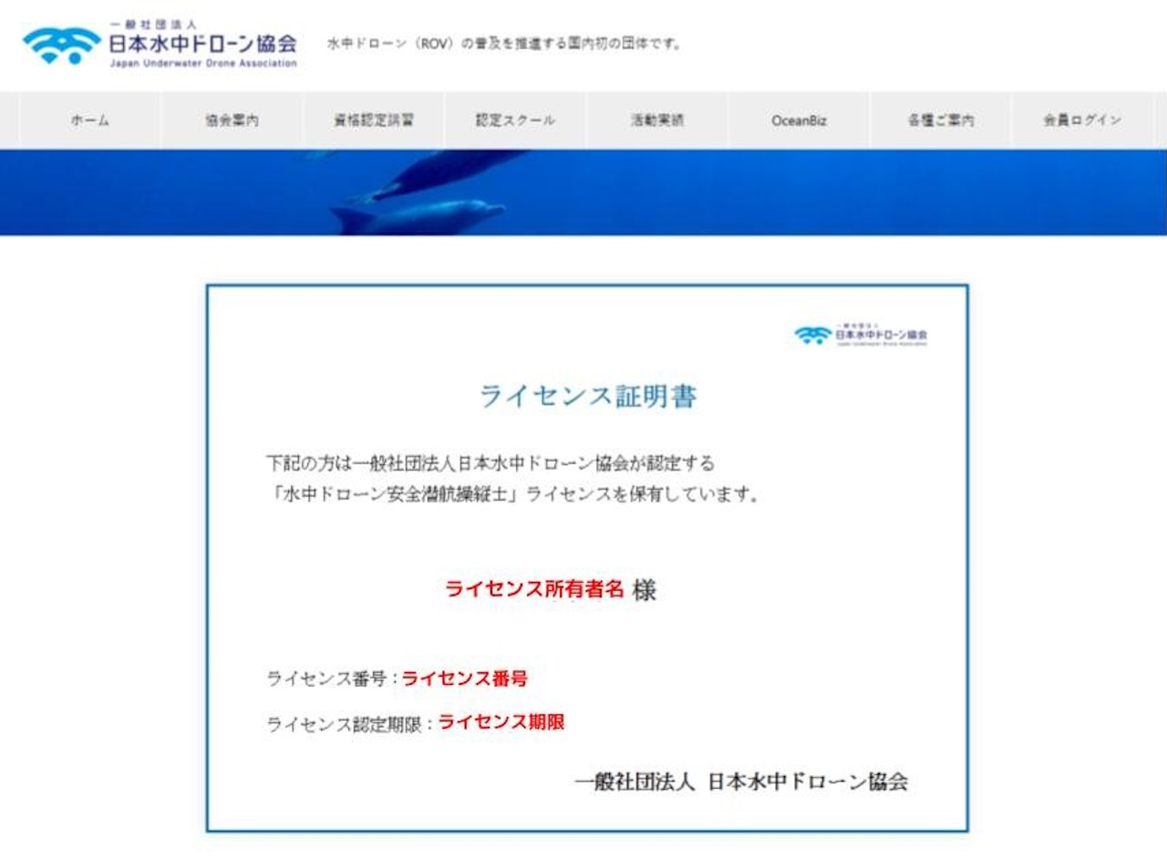 イメージ画像